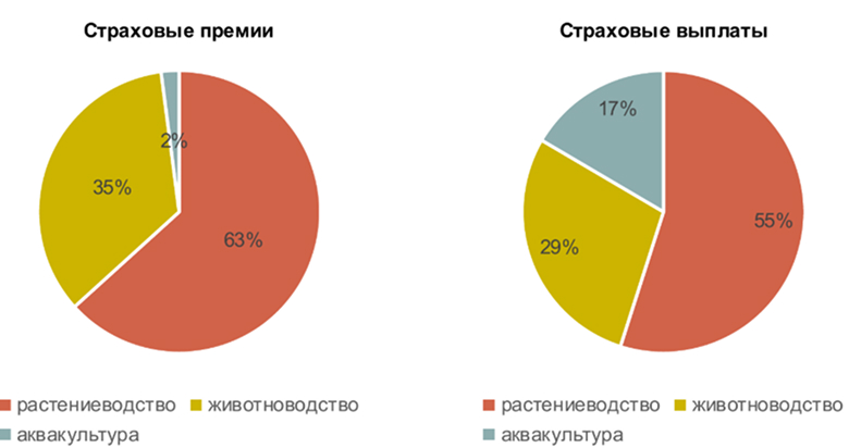 Распределение страховых премий и выплат в сельскохозяйственном страховании, %, 2024 г. Источник: Банк России Распределение страховых премий и выплат в сельскохозяйственном страховании, %, 2024 г. Источник: Банк России