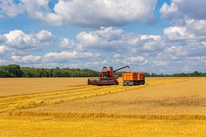 Перестрахование как ключевой элемент финансовой устойчивости сельского хозяйства Российской Федерации