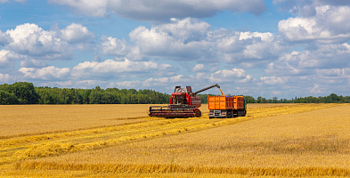 Перестрахование как ключевой элемент финансовой устойчивости сельского хозяйства Российской Федерации